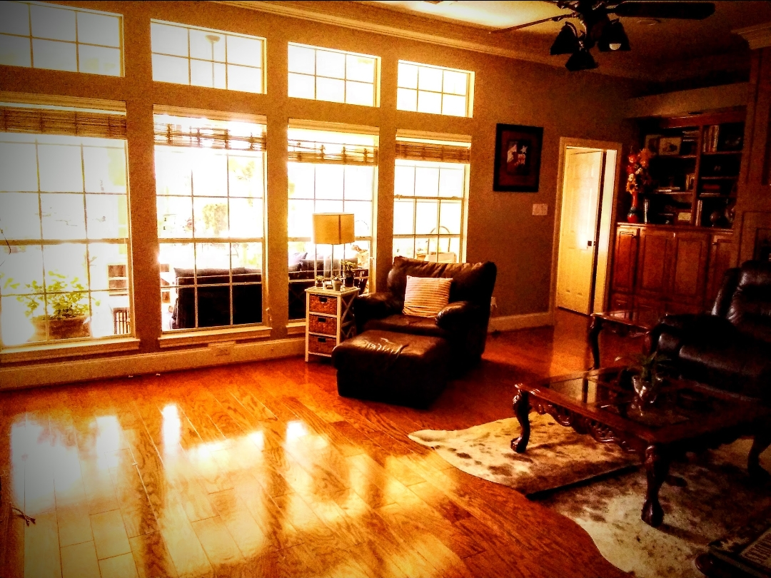 Sunlit living room with gleaming hardwood floors